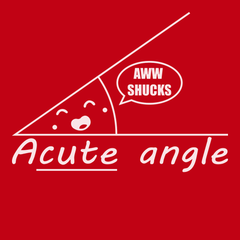 Acute Angle T-Shirt RED