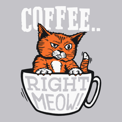 Coffee Right Meow T-Shirt SILVER