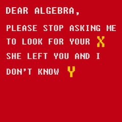 Dear Algebra T-Shirt RED