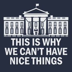Government This Is Why We Can't Have Nice Things T-Shirt NAVY