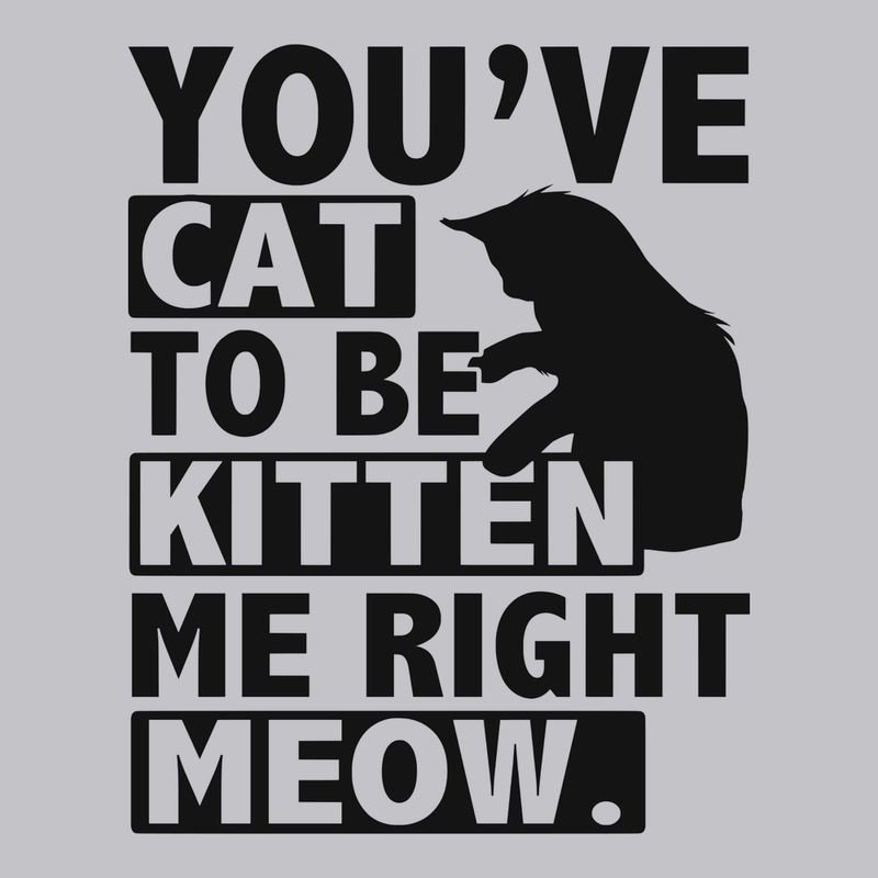 You've Cat To Be Kitten Me Right Meow T-Shirt SILVER