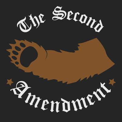 2nd Amendment Right To Bear Arms T-Shirt BLACK