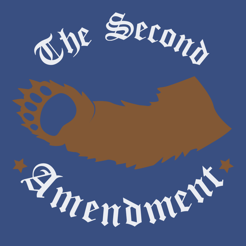 2nd Amendment Right To Bear Arms T-Shirt BLUE