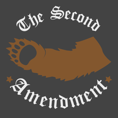 2nd Amendment Right To Bear Arms T-Shirt CHARCOAL