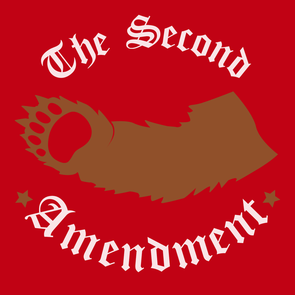 2nd Amendment Right To Bear Arms T-Shirt RED