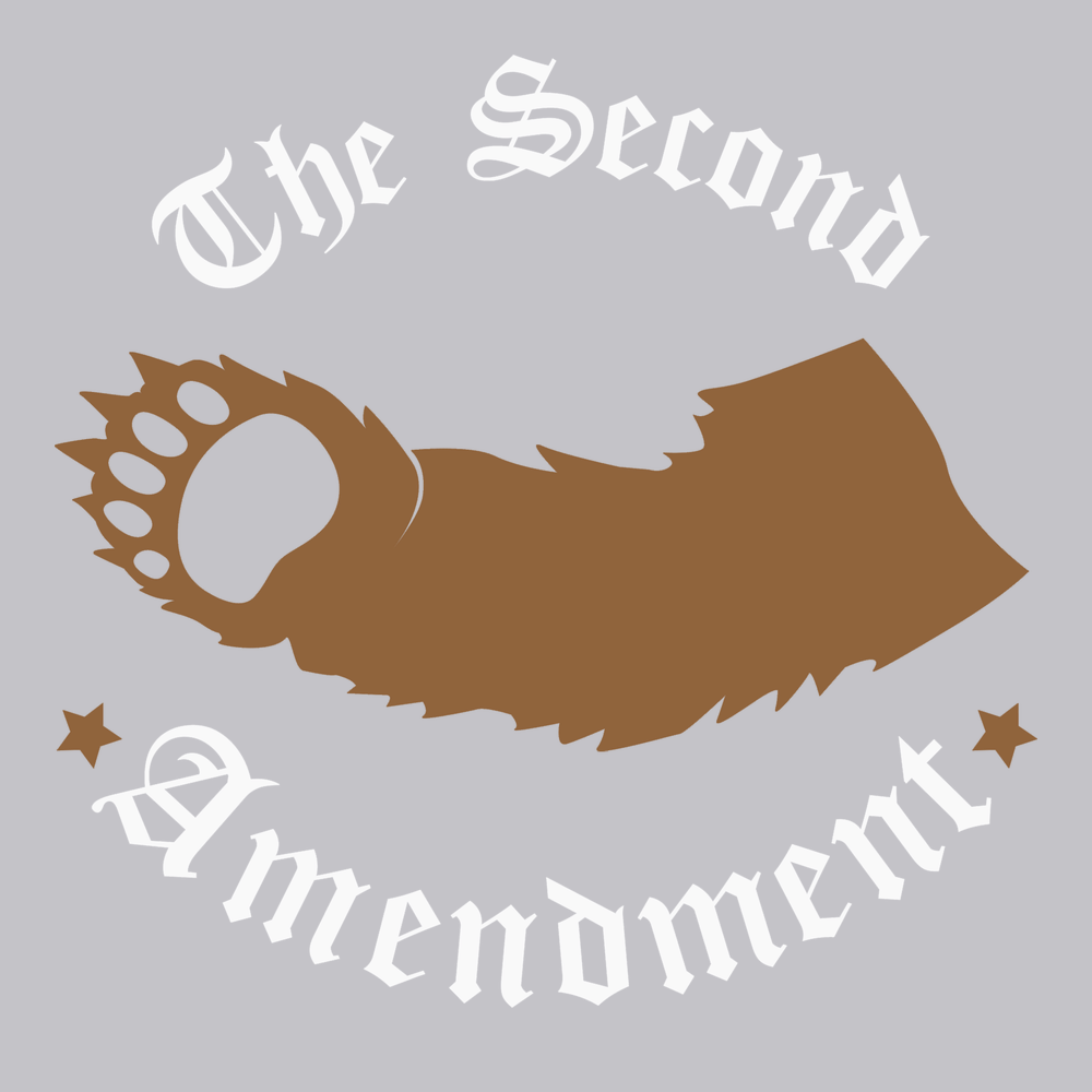 2nd Amendment Right To Bear Arms T-Shirt SILVER