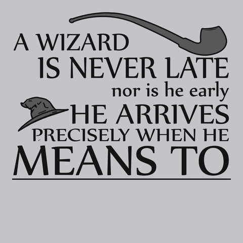 A Wizard Is Never Late T-Shirt SILVER