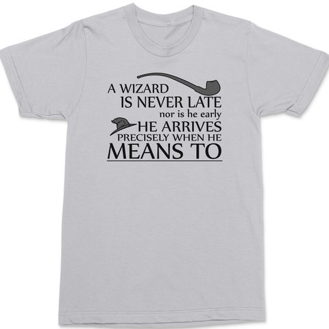 A Wizard Is Never Late T-Shirt SILVER