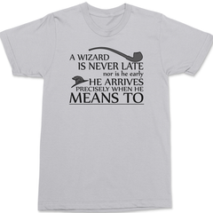 A Wizard Is Never Late T-Shirt SILVER