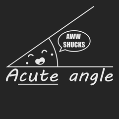 Acute Angle T-Shirt BLACK