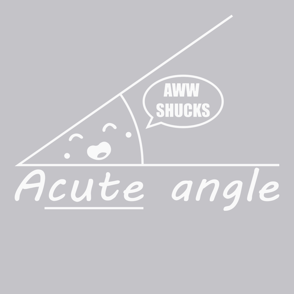 Acute Angle T-Shirt SILVER