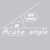 Acute Angle T-Shirt SILVER