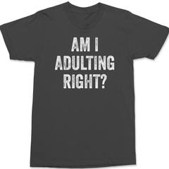 Am I Adulting Right T-Shirt CHARCOAL