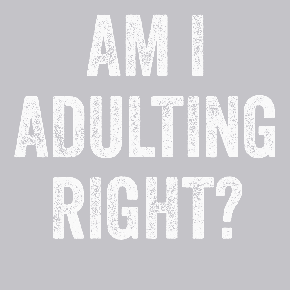 Am I Adulting Right T-Shirt SILVER