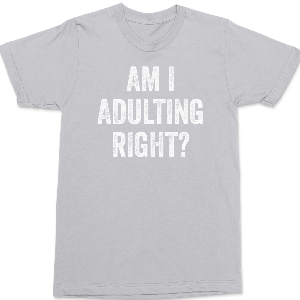 Am I Adulting Right T-Shirt SILVER