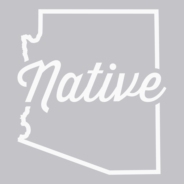 Arizona Native T-Shirt SILVER