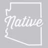 Arizona Native T-Shirt SILVER