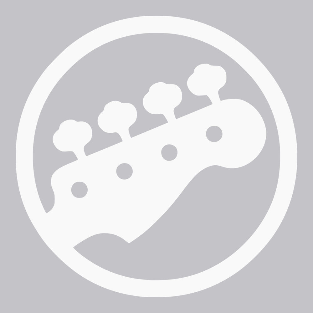 Bass Guitar Player T-Shirt SILVER