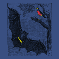 Bat and Robin T-Shirt BLUE