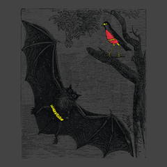 Bat and Robin T-Shirt CHARCOAL