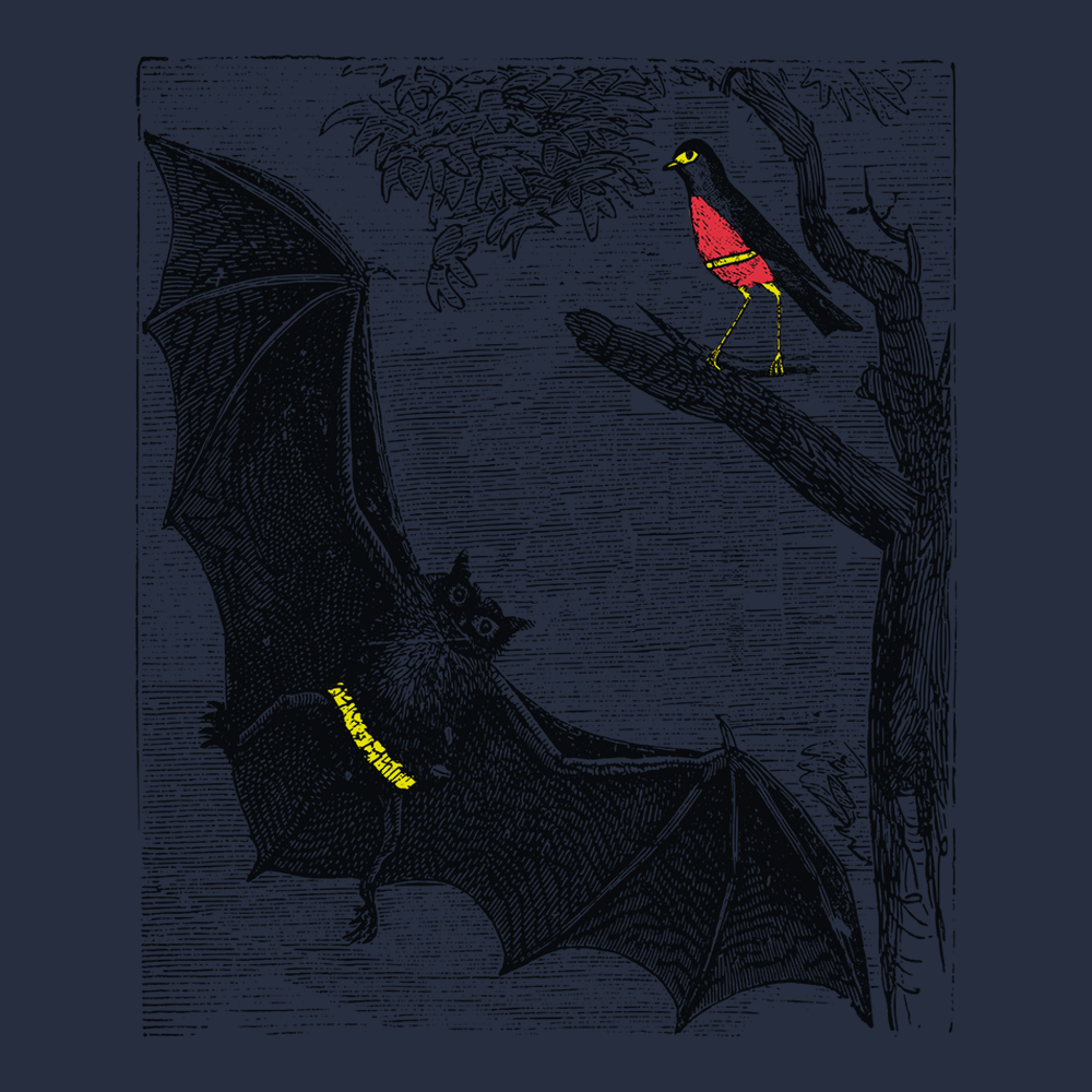 Bat and Robin T-Shirt NAVY