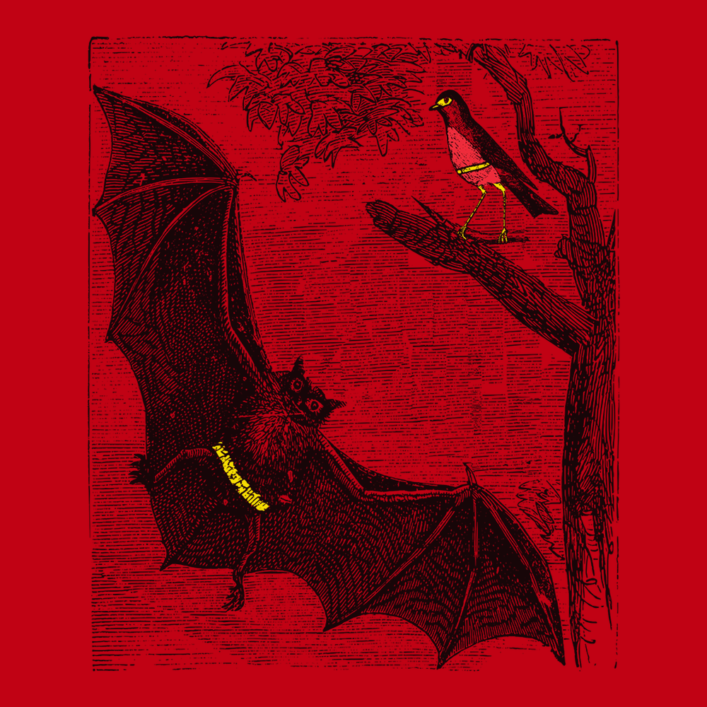 Bat and Robin T-Shirt RED