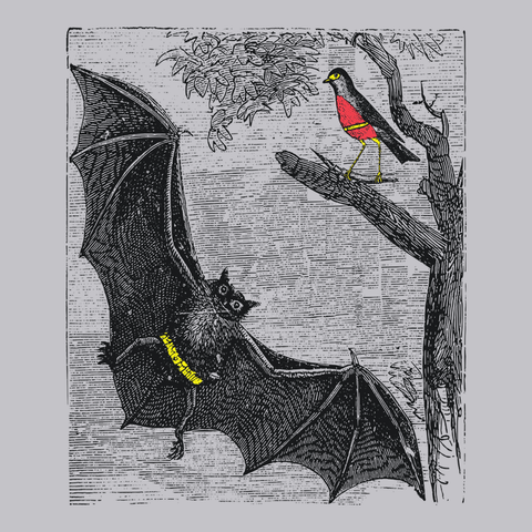 Bat and Robin T-Shirt SILVER