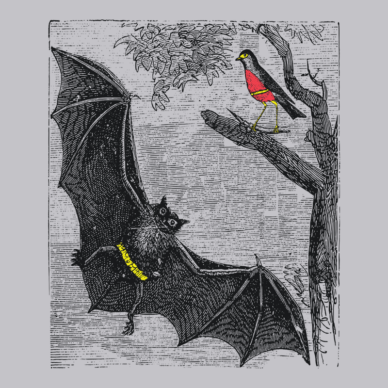Bat and Robin T-Shirt SILVER