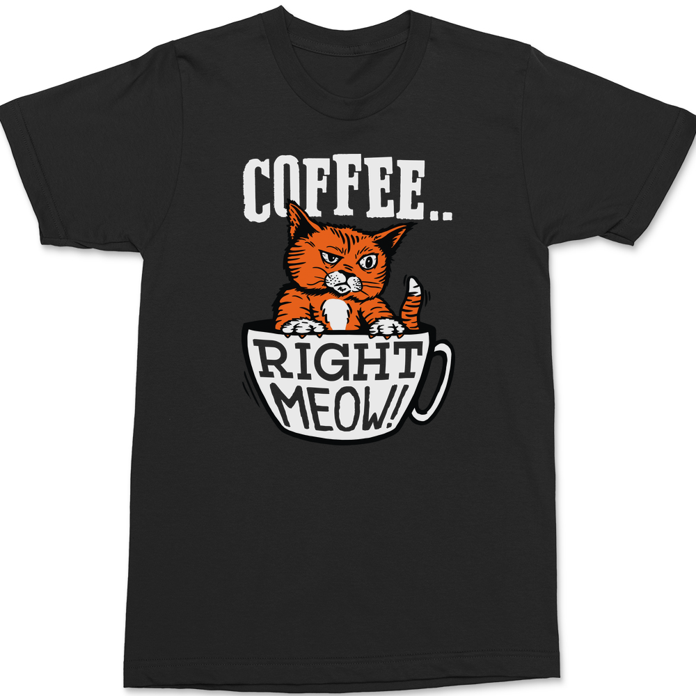 Coffee Right Meow T-Shirt BLACK