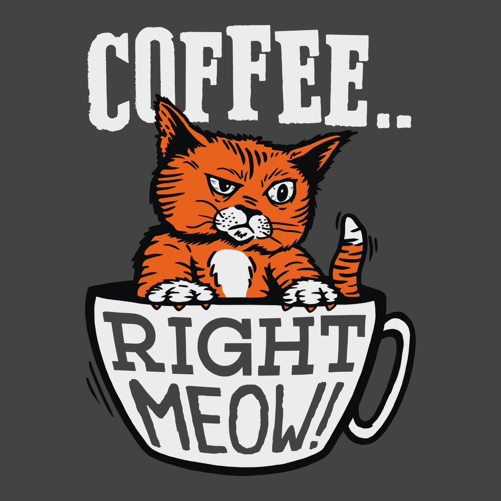 Coffee Right Meow T-Shirt CHARCOAL