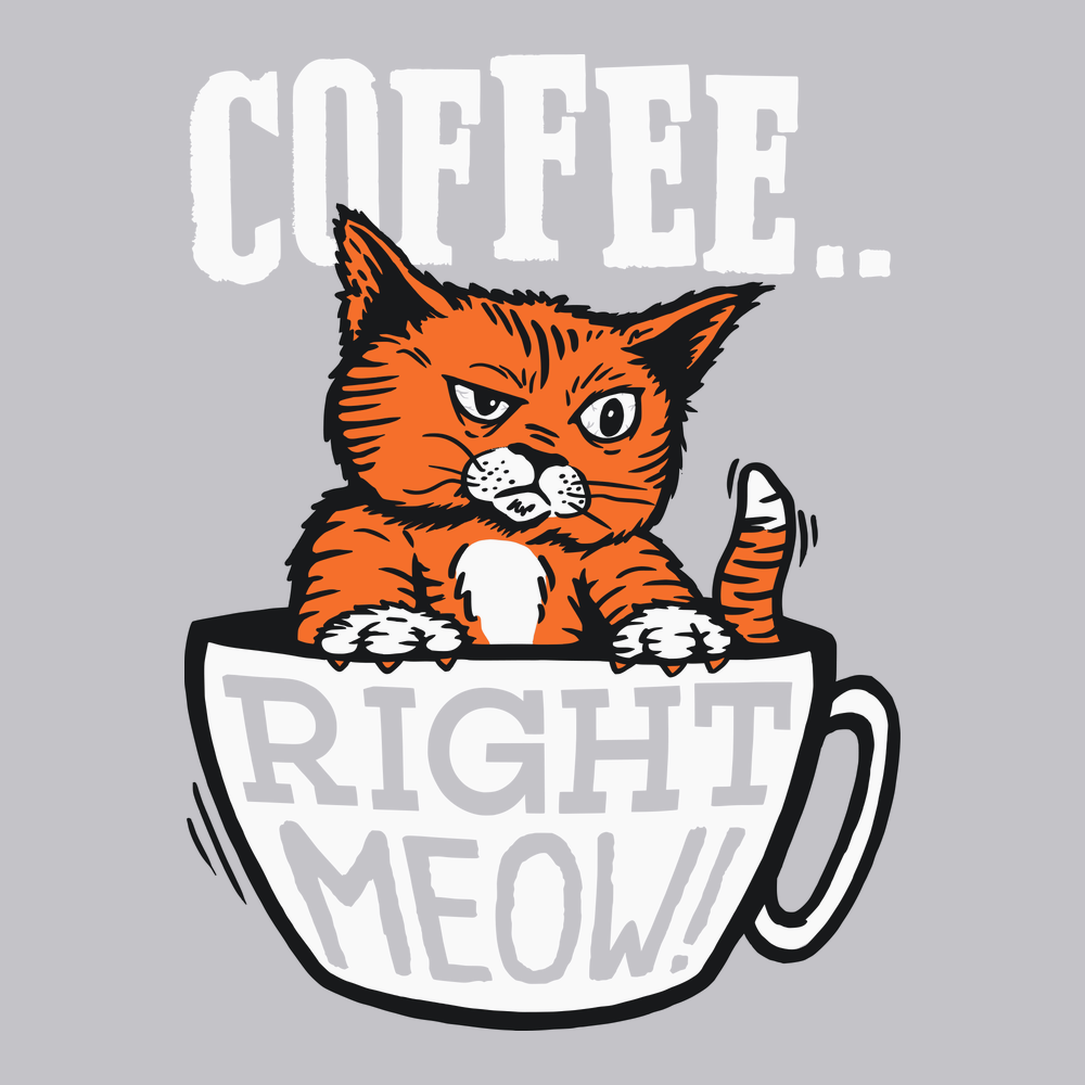 Coffee Right Meow T-Shirt SILVER