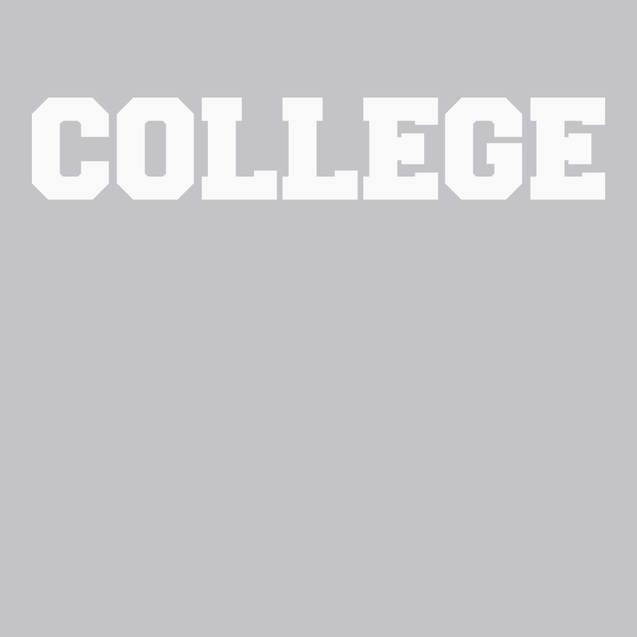 College T-Shirt SILVER