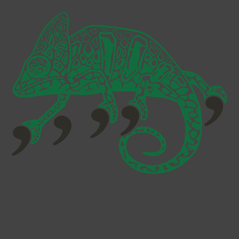 Comma Chameleon T-Shirt CHARCOAL