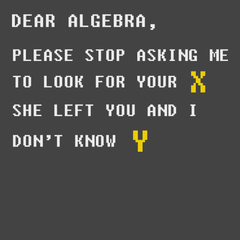 Dear Algebra T-Shirt CHARCOAL