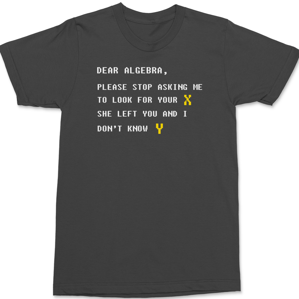 Dear Algebra T-Shirt CHARCOAL