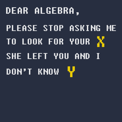 Dear Algebra T-Shirt Navy