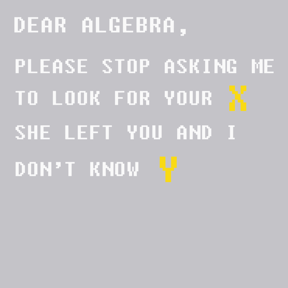 Dear Algebra T-Shirt SILVER