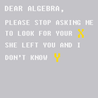 Dear Algebra T-Shirt SILVER