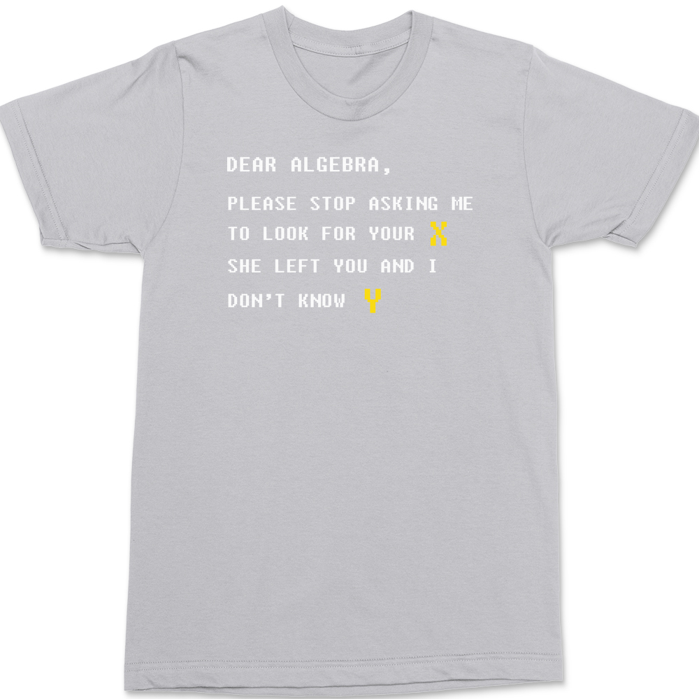 Dear Algebra T-Shirt SILVER
