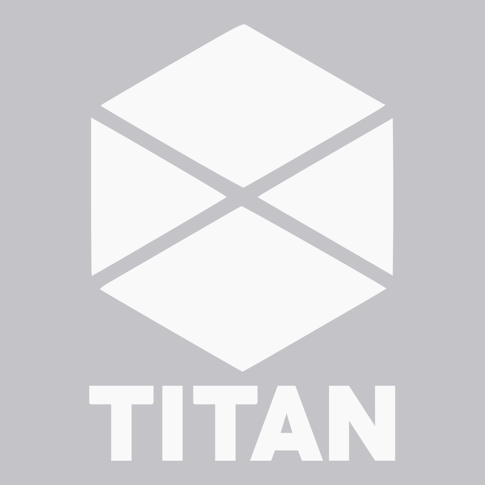 Destiny Titan T-Shirt SILVER