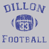 Dillon Panthers T-Shirt SILVER