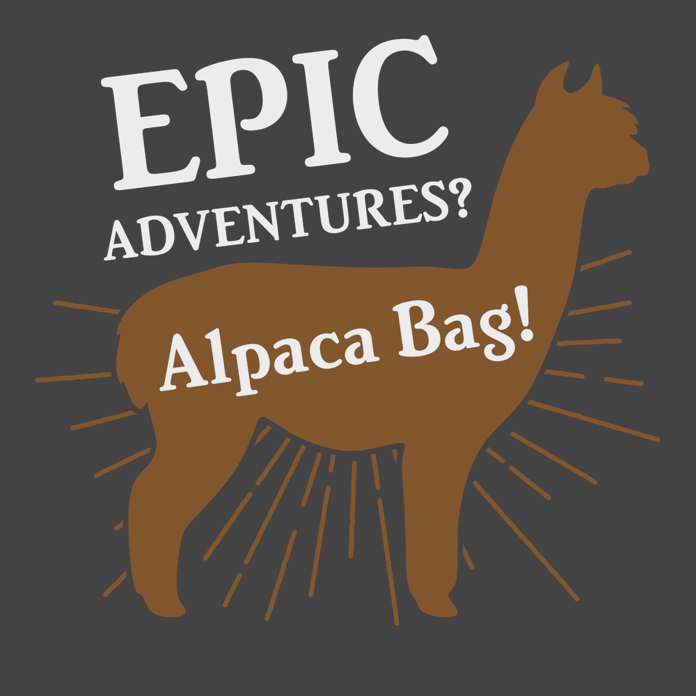Epic Adventures Alpaca Bag T-Shirt CHARCOAL