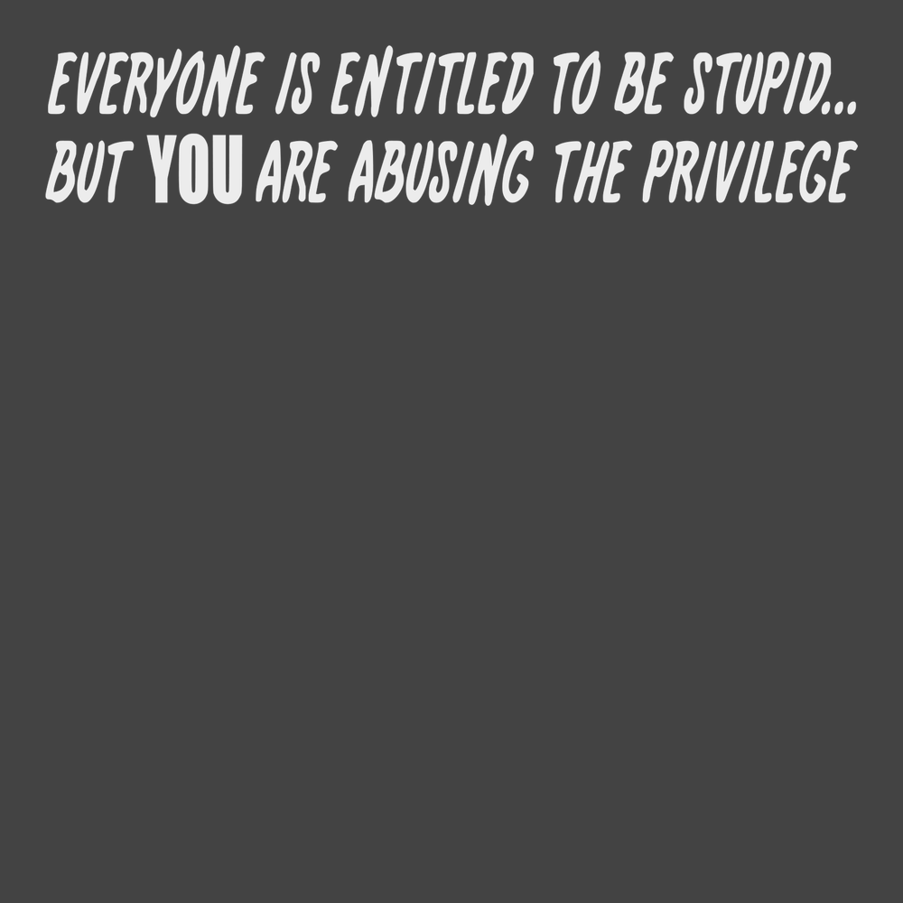 Everyone Is Entitled To Be Stupid T-Shirt CHARCOAL
