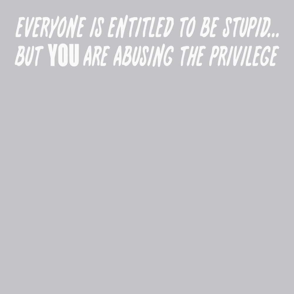Everyone Is Entitled To Be Stupid T-Shirt SILVER