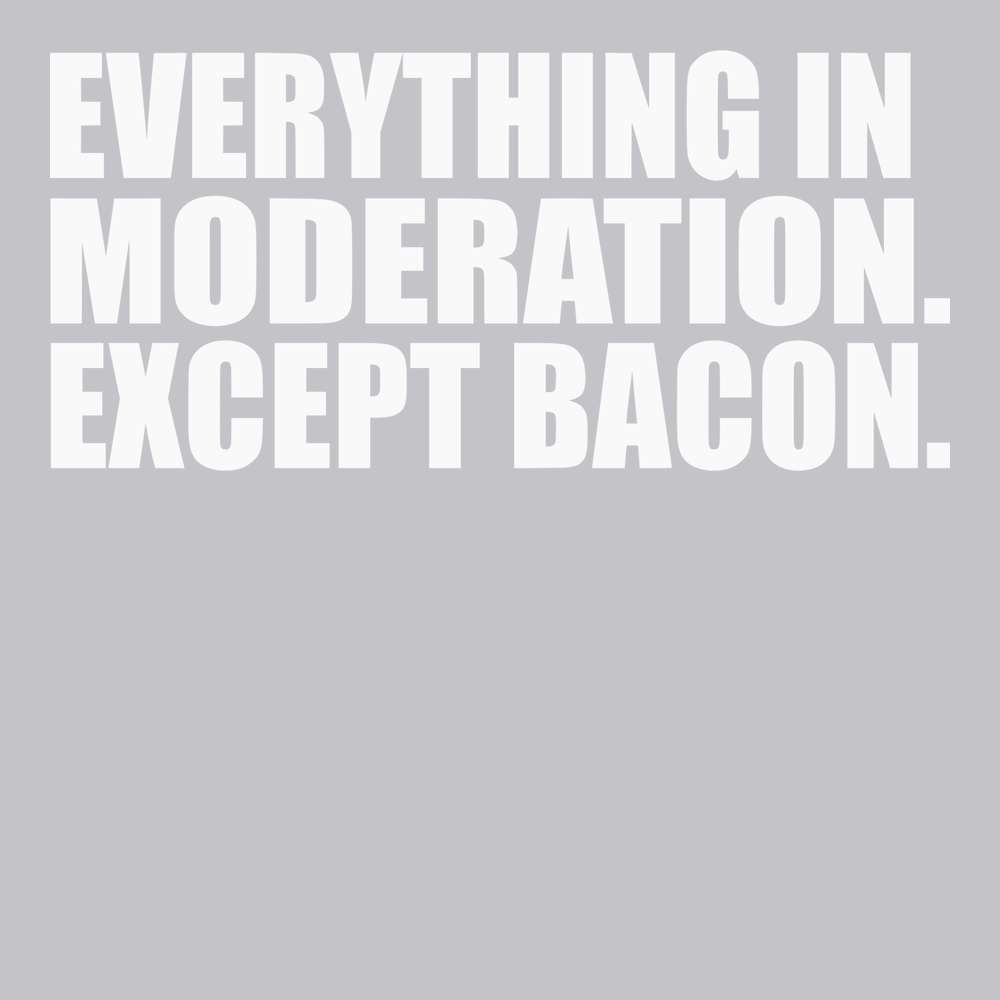 Everything In Moderation Except Bacon T-Shirt SILVER
