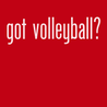 Got Volleyball T-Shirt RED