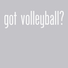 Got Volleyball T-Shirt SILVER