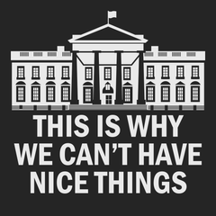 Government This Is Why We Can't Have Nice Things T-Shirt BLACK