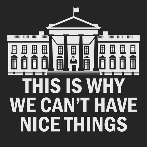 Government This Is Why We Can't Have Nice Things T-Shirt BLACK