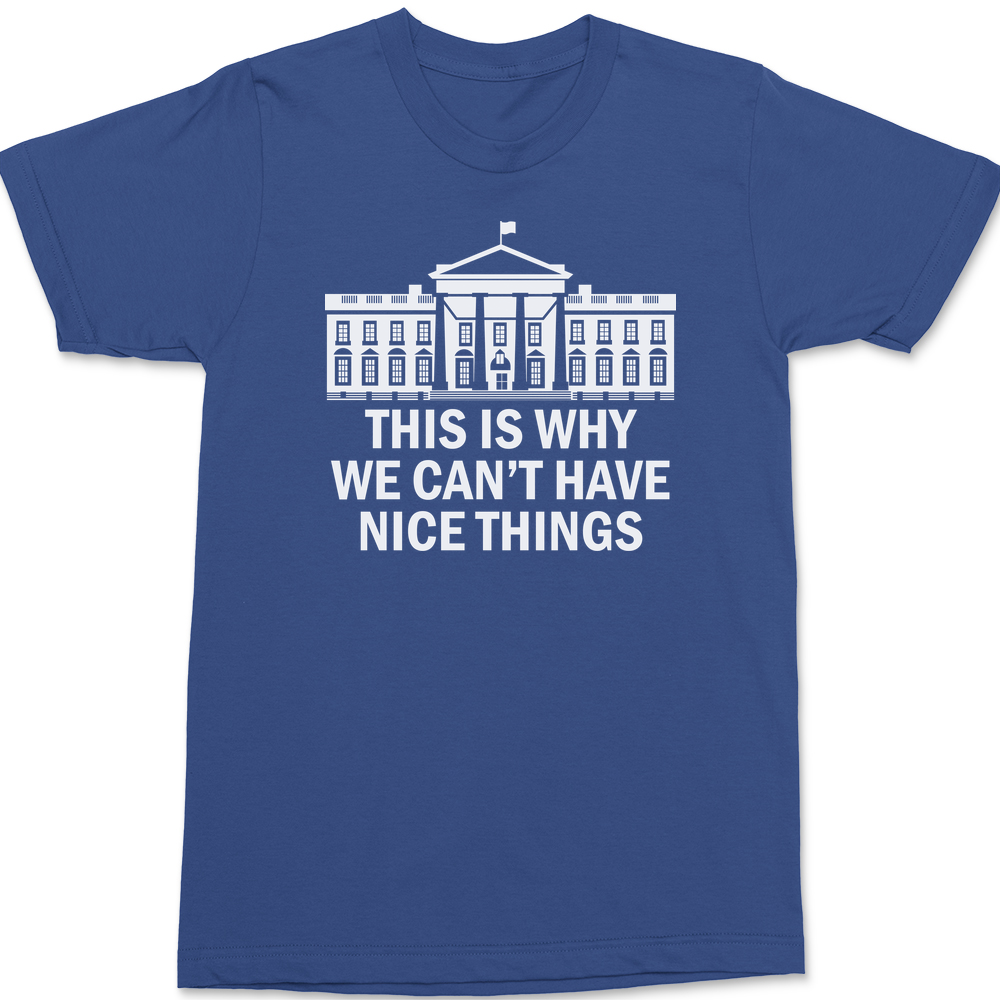 Government This Is Why We Can't Have Nice Things T-Shirt BLUE